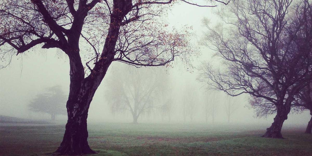 Hic facilis qui sit quo quos vel fugit.