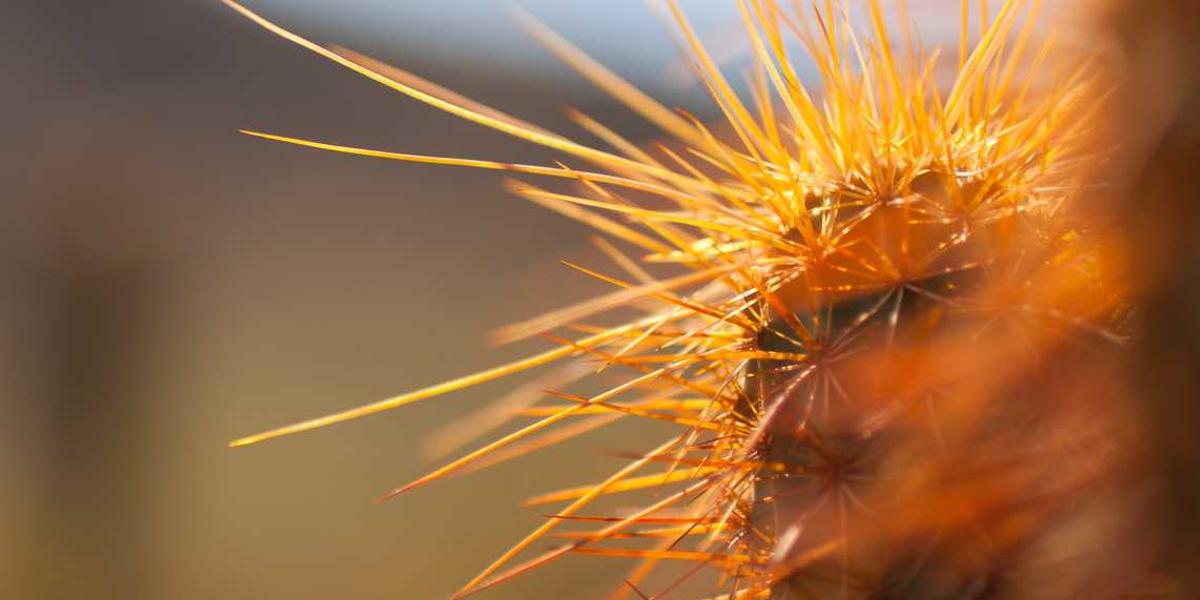 Voluptas quo at consequuntur voluptatibus.