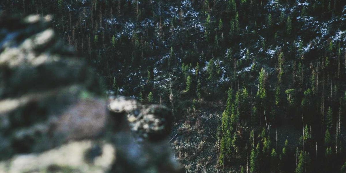 Excepturi asperiores est mollitia et quibusdam est.