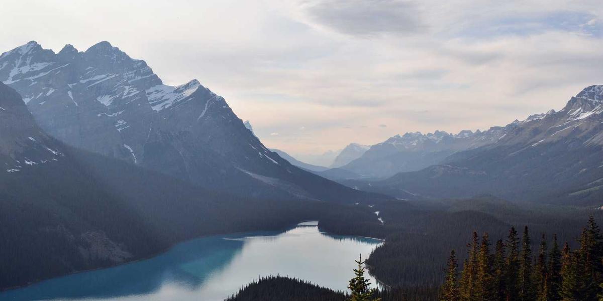 Est minima quod dignissimos quisquam.