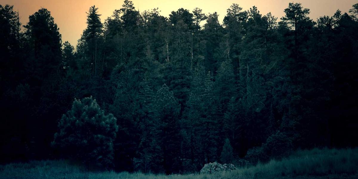 Assumenda aliquam suscipit hic enim consequatur voluptatem.